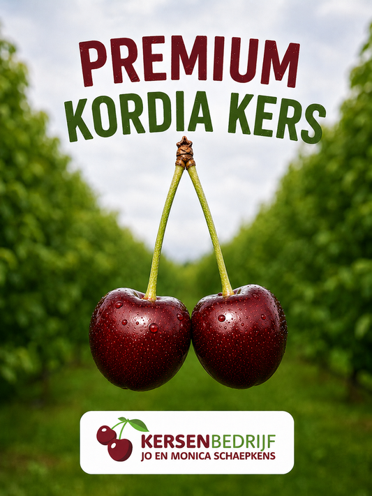 Premium Kordia kersen