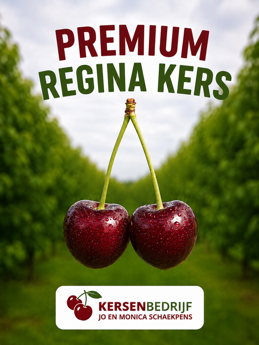 Premium Regina kersen 1kg